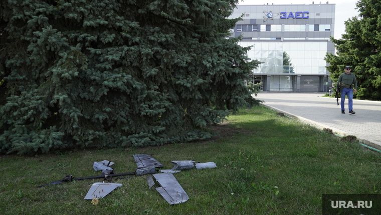 ����� ��� ������ ���: �� ����������, ������ � ������ ��������� �������� �����-���������