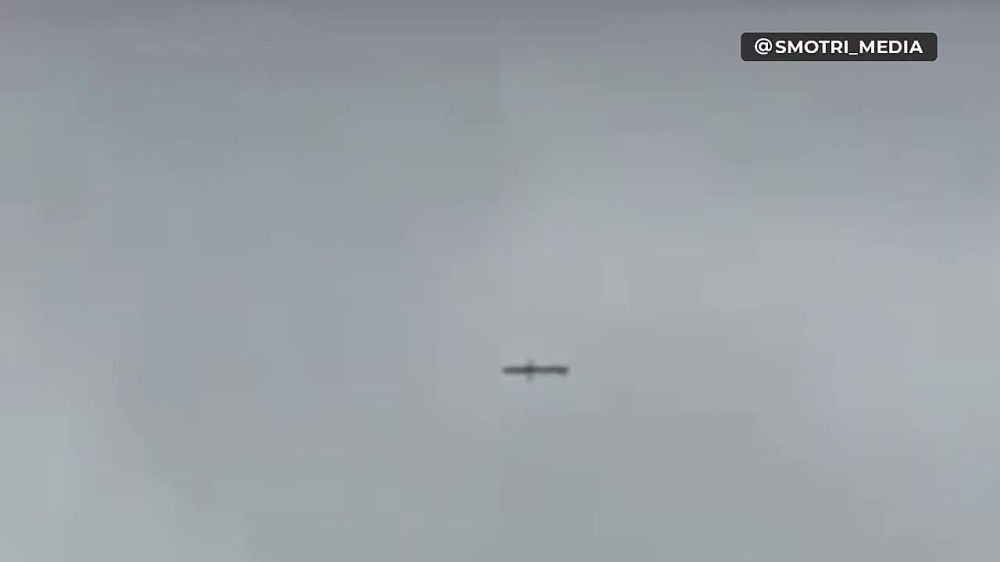 ����� ������ ����� �� ����� ��� ��������