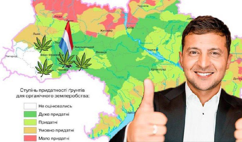 ���� ���������� � ���������