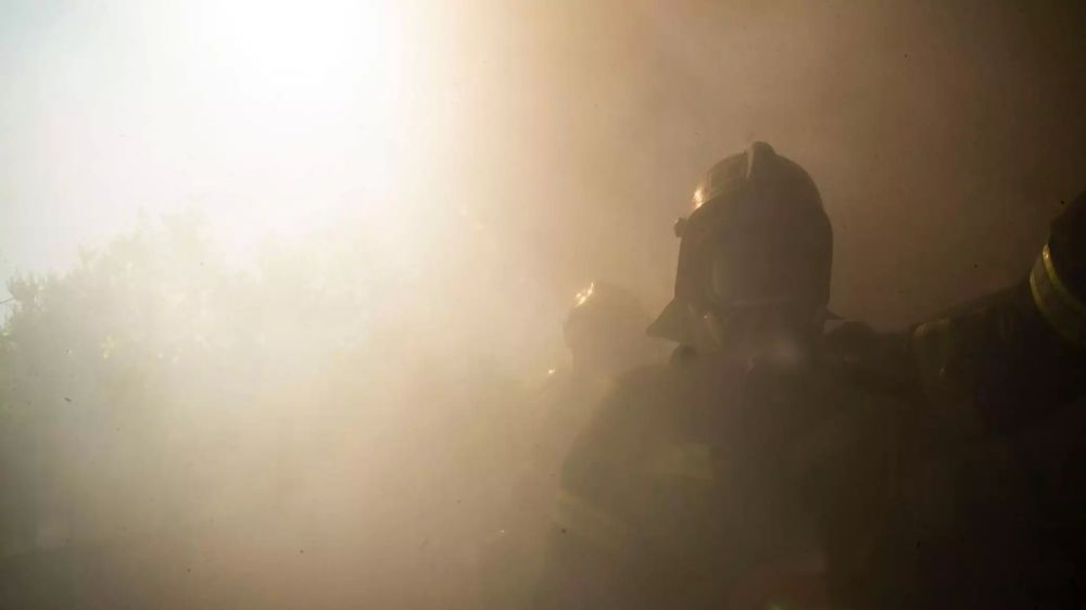 �� ������ ��������� ������ ����������� ��������������