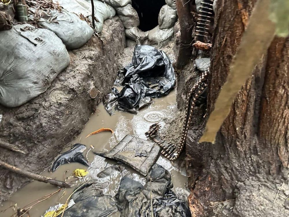 �� ���������� ������� � �������� ��� ����� ��������, ��� � ������������ �� ������ �������� ���������� �������������, �� ������ ���������� ������������ ������� ������� � 36 ������� ������� ������ ���