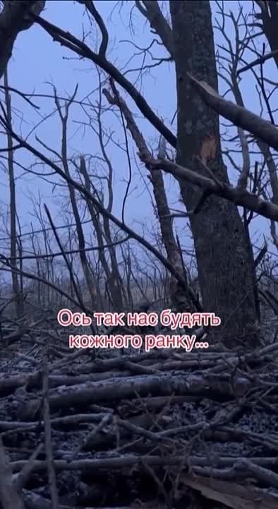 -      .   