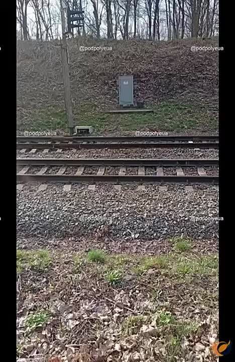     &quot; &quot;         