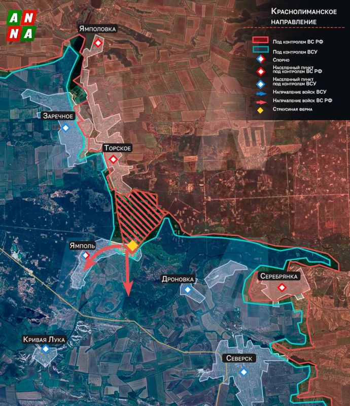 Освобождение страусов. Российские войска наступают в Серебрянском лесу