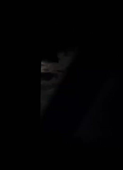 Сегодня ночью Вооружённые силы России нанесли масштабные удары по военной инфраструктуре противника на территории Украины