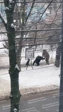 ����������� �� ������� �������� "���������"