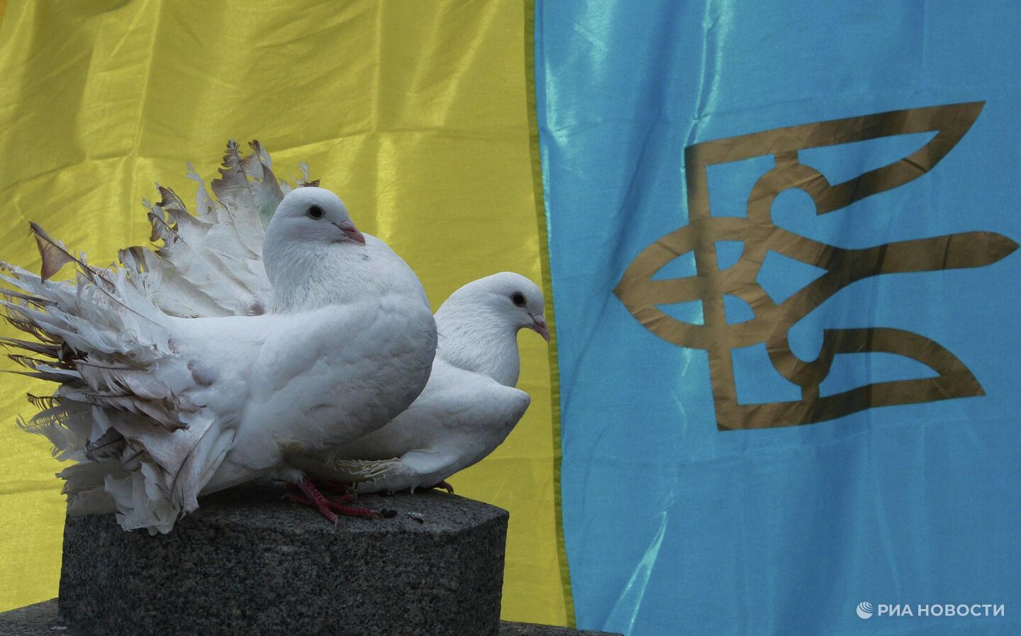 Житель Киева женился на 80-летней теще-инвалиде, лишь бы уехать с Украины