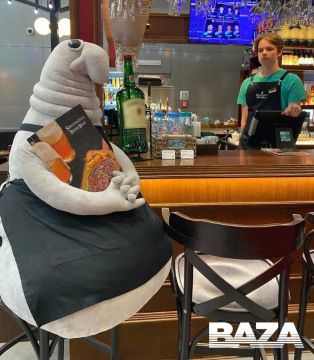 2 ��� ������ �� ������ ������� ����� �������� � ���� � �����������