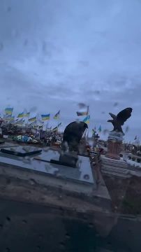 "��� �������".. ���� �� �������������� ������� ����������� ������������