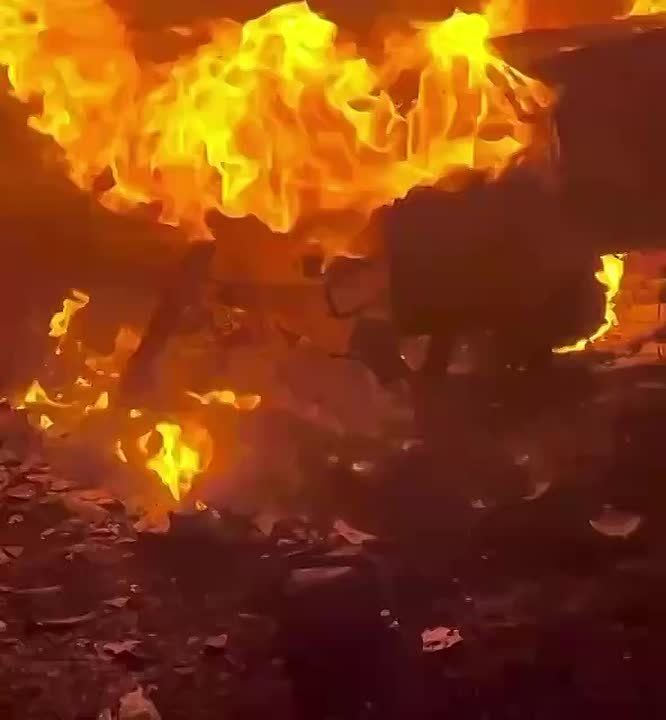 WarGonzo: ������ ������� �� ���� ������������ � ��������� ���