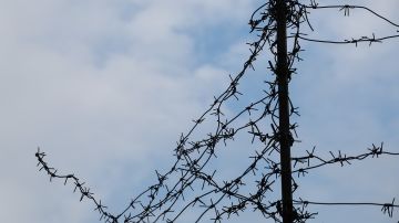«На растяжки ставили»: житель Курской области рассказал о пытках в украинском плену
