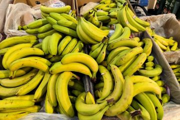 На Украине попытались вывезти уклонистов среди коробок из-под бананов